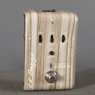 L.R. Baggs Align Series Active DI