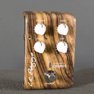 L.R. Baggs Align Series Chorus – Dusty Strings