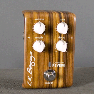 L.R. Baggs Align Series Reverb