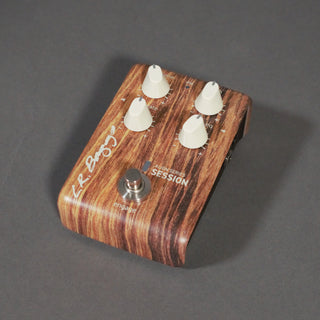 L.R. Baggs Align Series Session