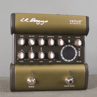 L.R. Baggs Venue DI