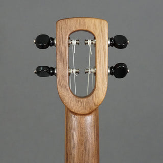 Firefly Concert Walnut