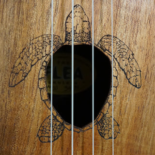 Flea Koa, Honu Turtle