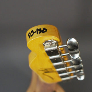 Nash Guitars T-63/HN