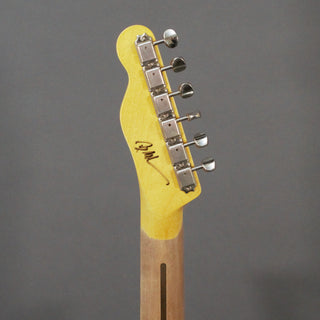 Nash Guitars T-57/P90