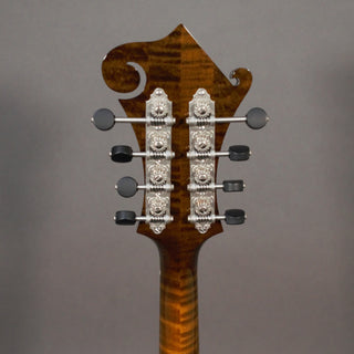 Northfield NFS-F5 LTD