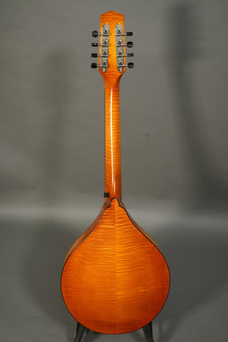 Northfield Wavelength Octave