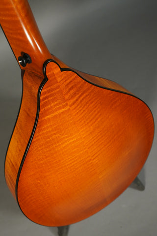 Northfield Wavelength Octave