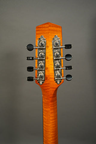 Northfield Wavelength Octave