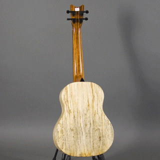 Romero Creations RC-GT-MG