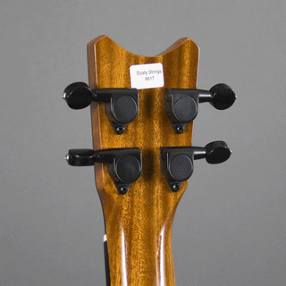 Romero Creations RC-GT-MG