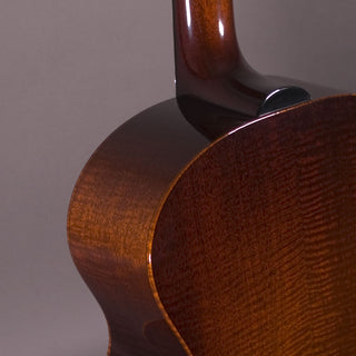 Used Santa Cruz F Model