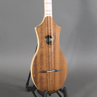Seagull M4, Mahogany with Gig Bag