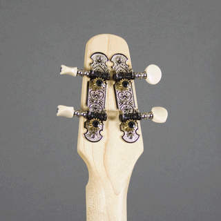 Seagull M4, Mahogany with Gig Bag