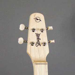 Seagull M4, Mahogany with Gig Bag