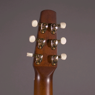 Seagull Performer CW CH Burnt Umber Presys II