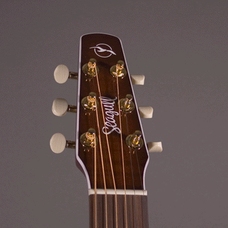 Seagull Performer CW CH Burnt Umber Presys II