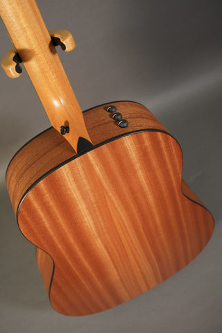 Taylor 117e
