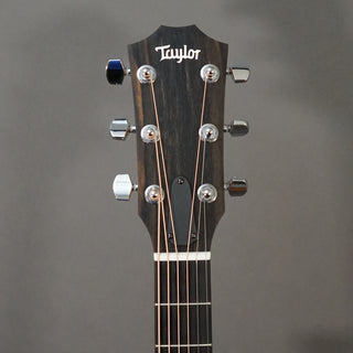 Taylor 117e