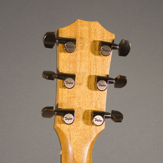 Taylor 224ce-K DLX