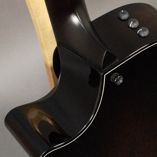 Taylor 524ce Builder's Edition