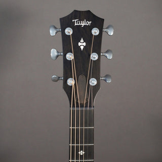 Taylor 524ce Builder's Edition