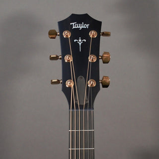 Taylor 724ce