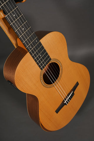 Taylor Academy 12e-N
