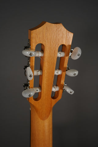 Taylor Academy 12e-N