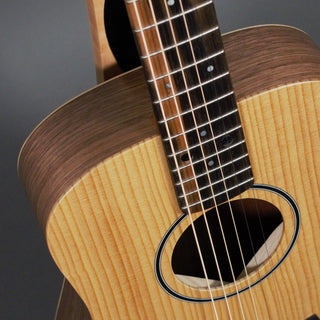Taylor BT1