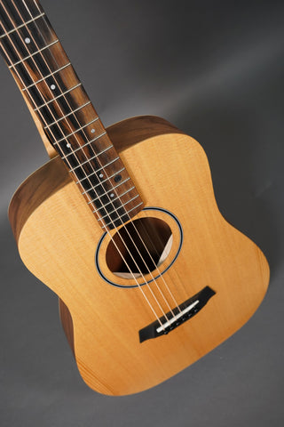 Taylor BT1