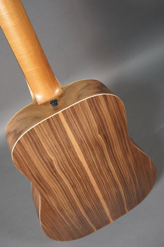 Taylor BT1
