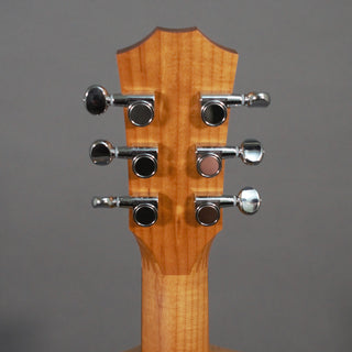 Taylor BT1