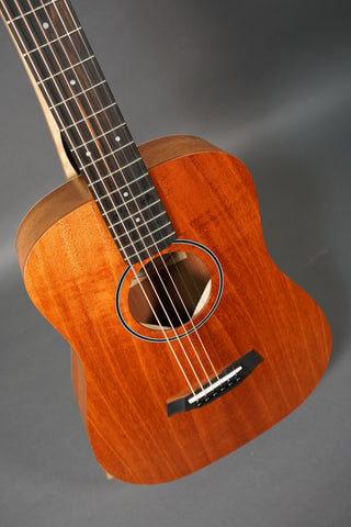 Taylor BT2