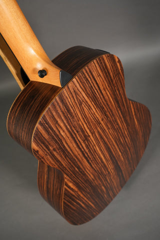 Taylor GS Mini-e Rosewood SB