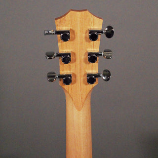 Taylor GS Mini-e Rosewood SB
