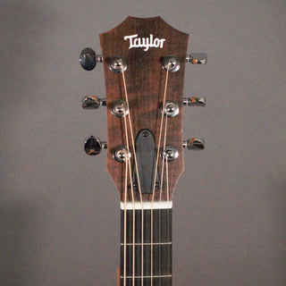 Taylor GS Mini-e Rosewood SB
