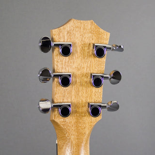 Taylor GS Mini-e Rosewood SB