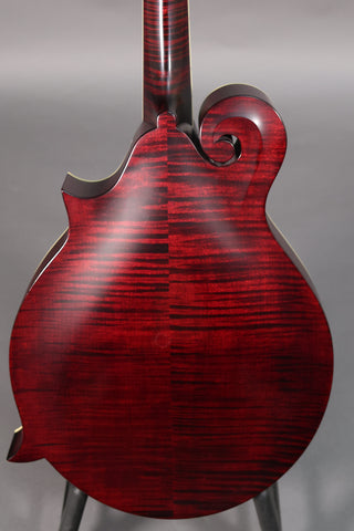 Used Collings MF Deluxe