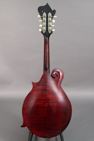 Used Collings MF Deluxe