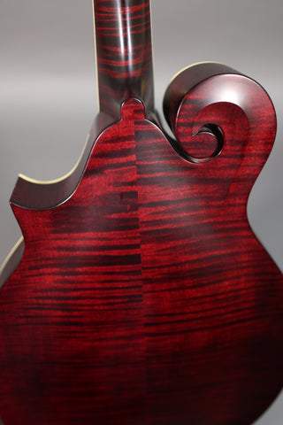 Used Collings MF Deluxe