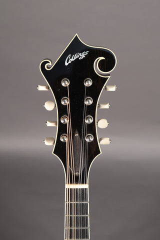 Used Collings MF Deluxe