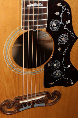Used Gibson J-200AN