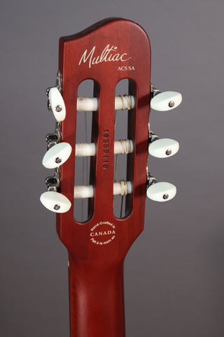 Used Godin ACS Multiac SA