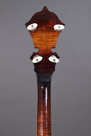 Used Stelling Sunflower