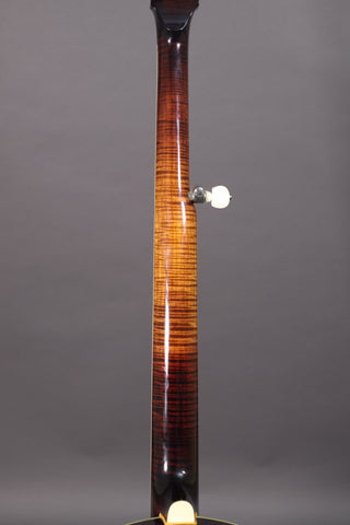 Used Stelling Sunflower