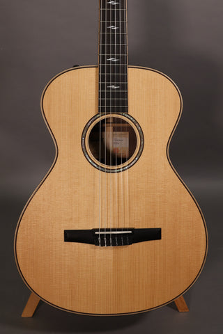 Used Taylor 812e-N