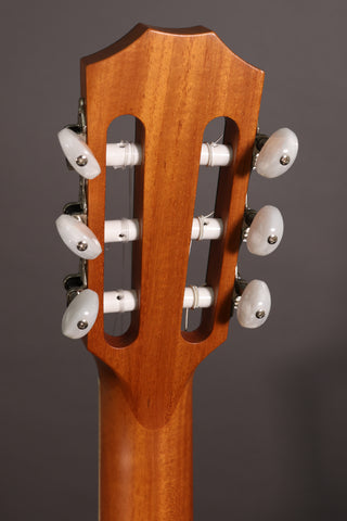 Used Taylor 812e-N