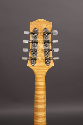Used Clark A5 Mandolin