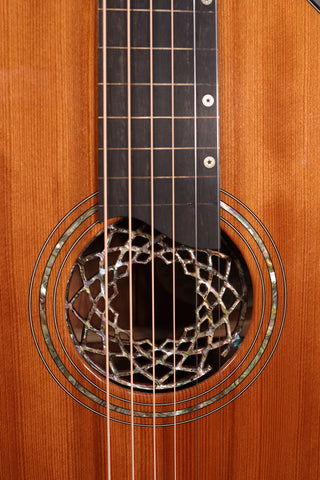 Used Breedlove Lapsteel Custom